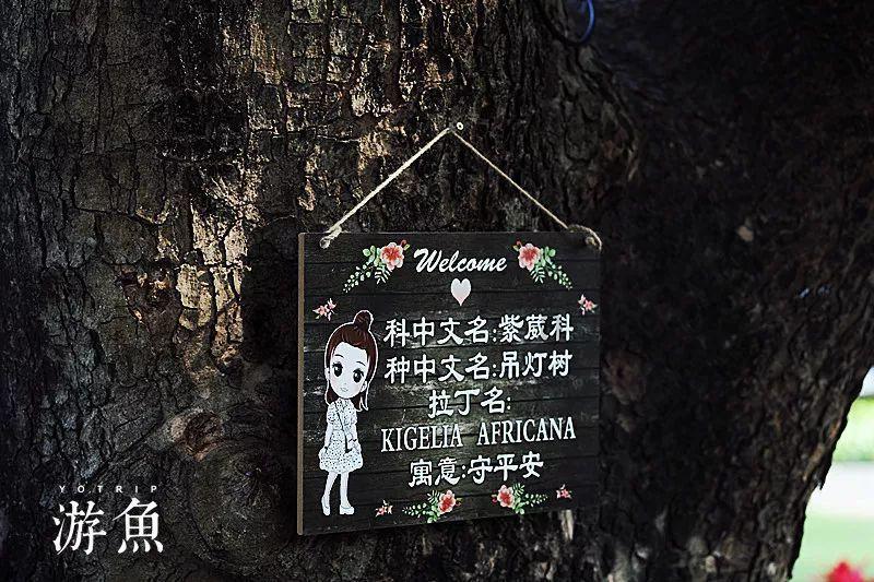 燃烧吧大脑免广告最新版